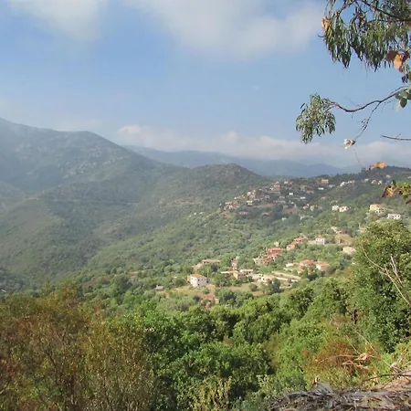 Lejlighed Amazing In